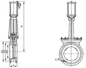 z45-1.jpg