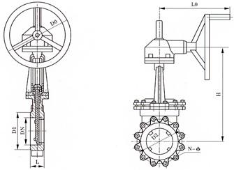 z45-1.jpg